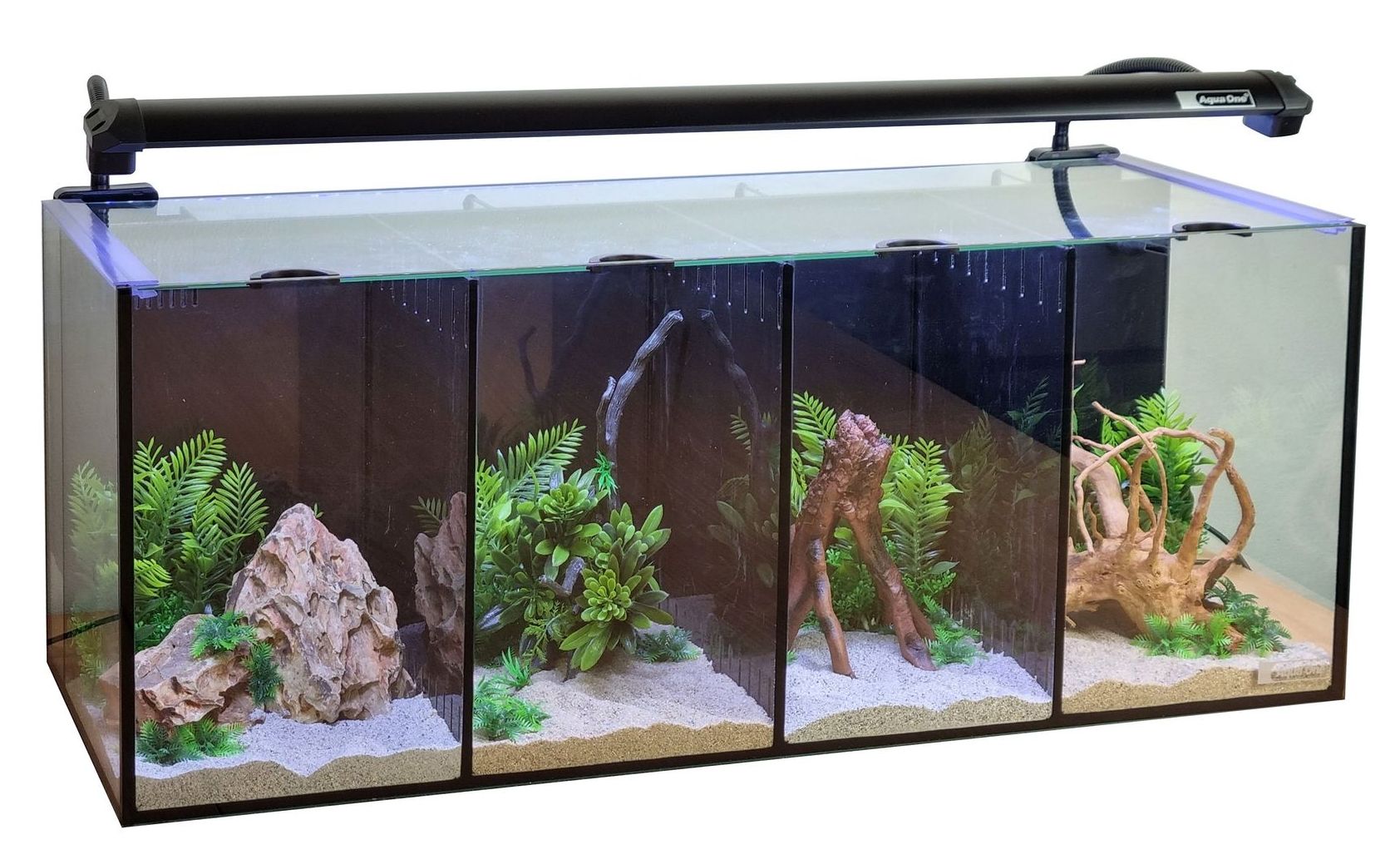 Betta Quad