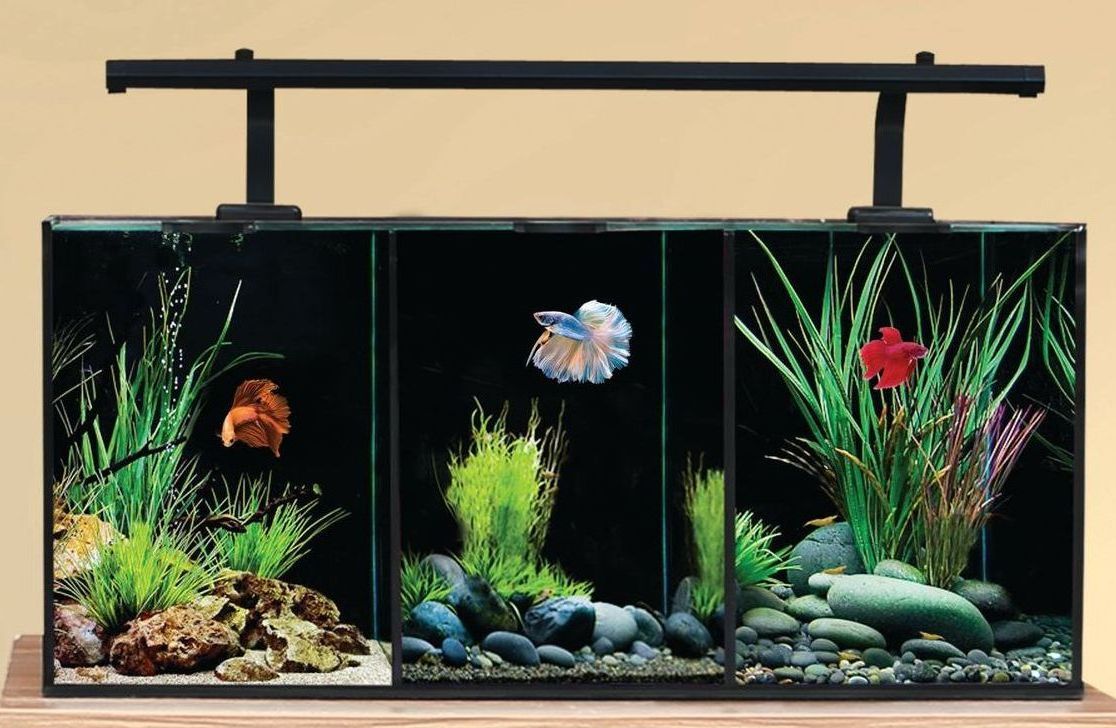 Better Trio Tank