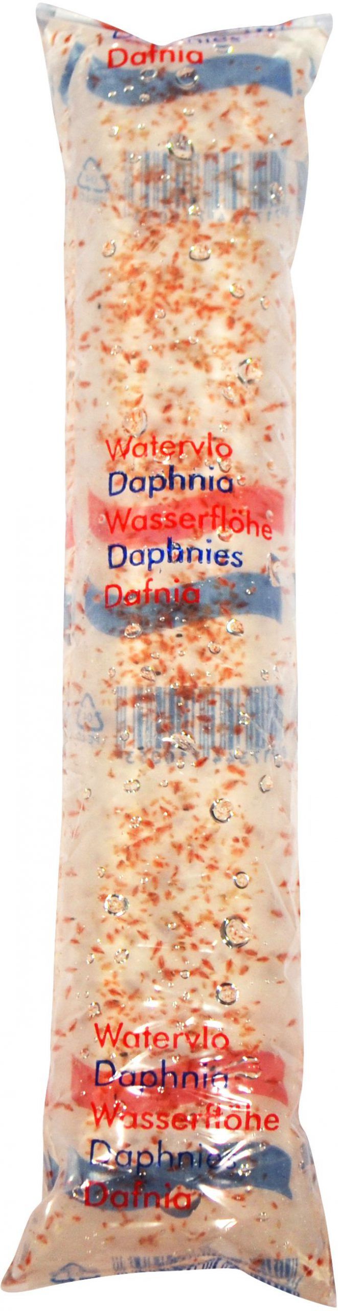 Daphnia