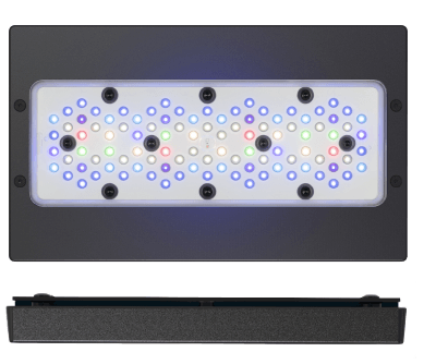 Ecotech Radion