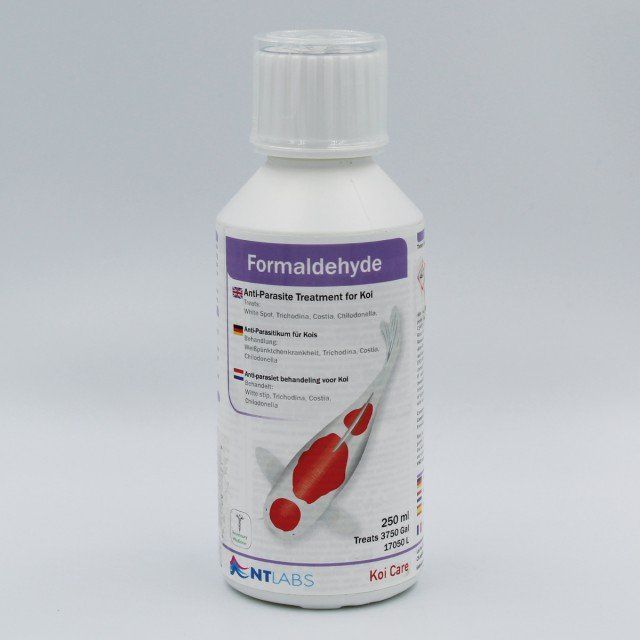 NTLabsFormaldehyde