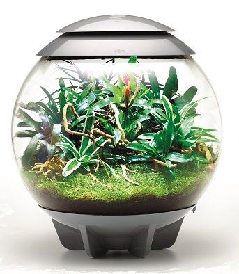 BiOrb Air-60