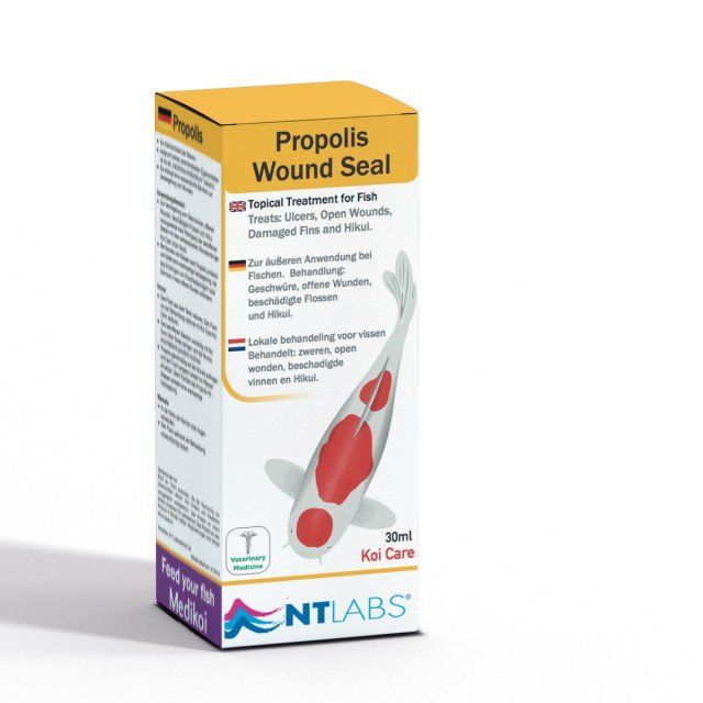 NTLabsPropolis