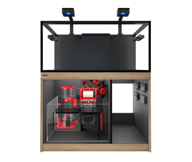 Reef-Frame 170