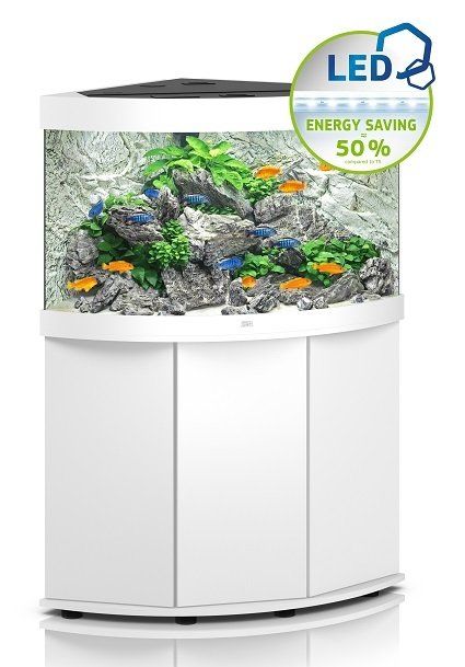 Trigon Aquarium