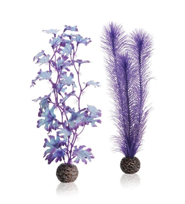 biOrb-Kelp-set-M-purple