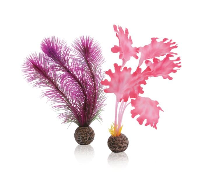 biOrb-Kelp-set-S-pink