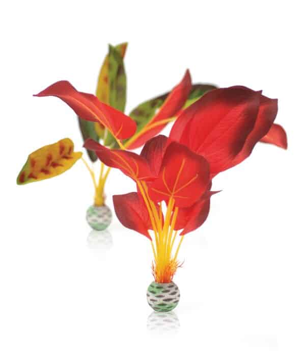biOrbSilkplantsetLgreen