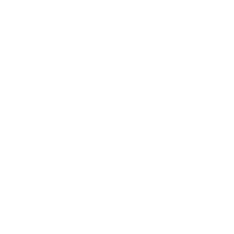 Advantage Property Management Logo