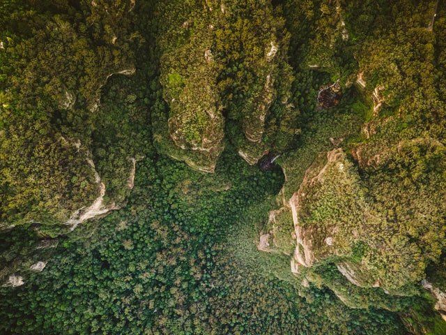Aerial view of a dense green forest surrounded by steep rocky cliffs.