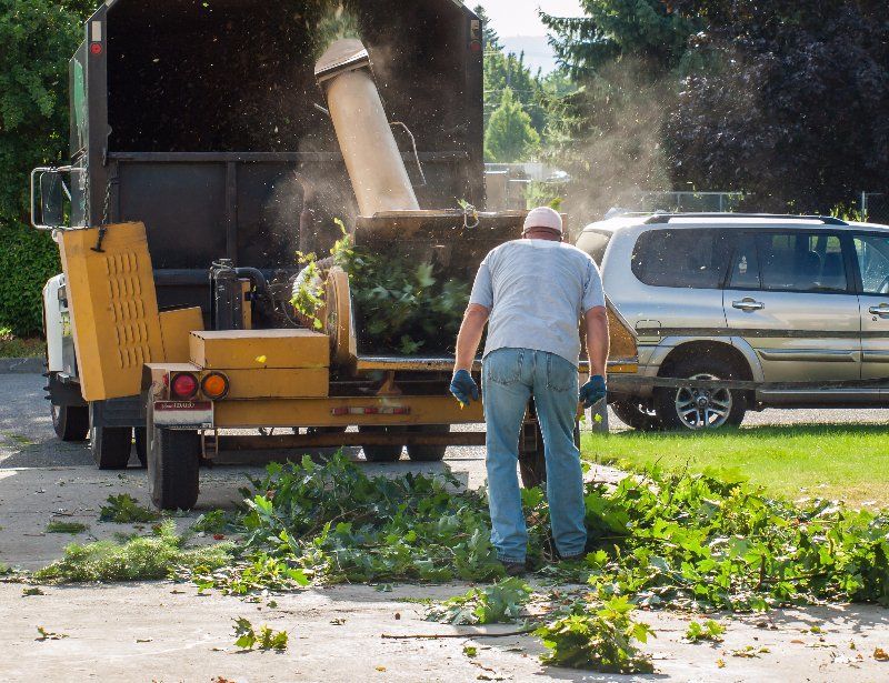 Tree removal picture in bloomington mn