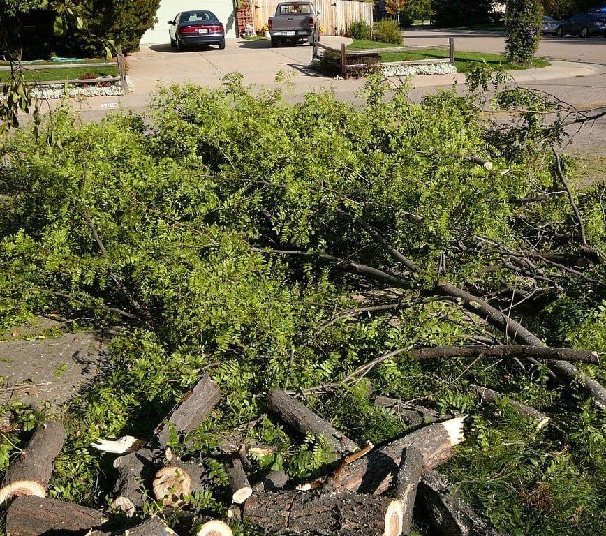 Stump Removal mn