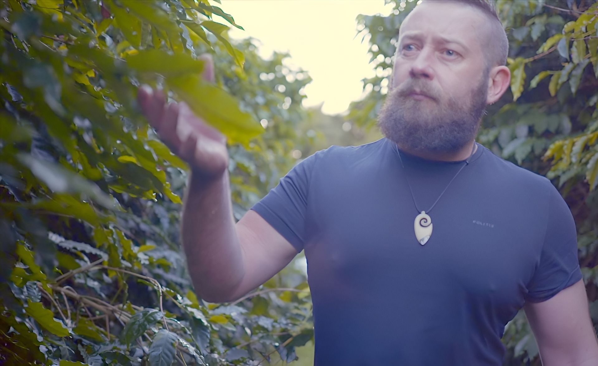 A man with a beard is standing in a forest looking at a tree.