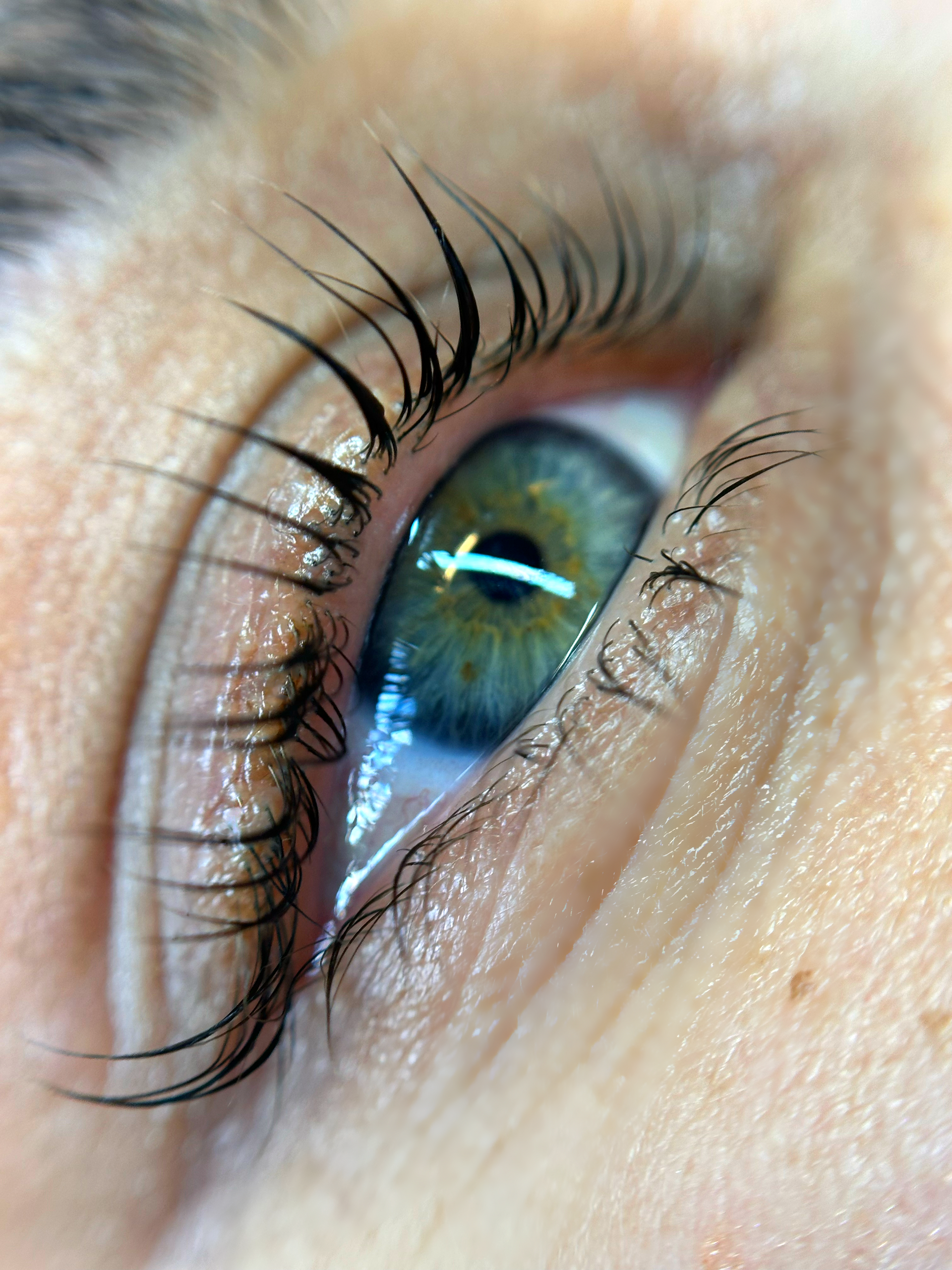 Lash Lift