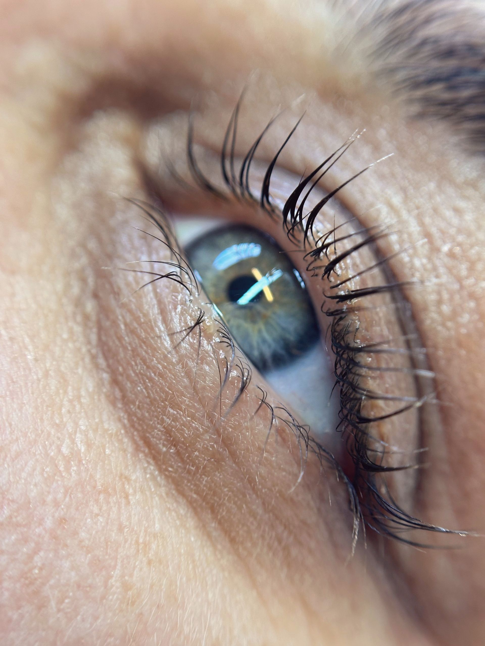 Close-up van gelifte wimpers na lash lift behandeling