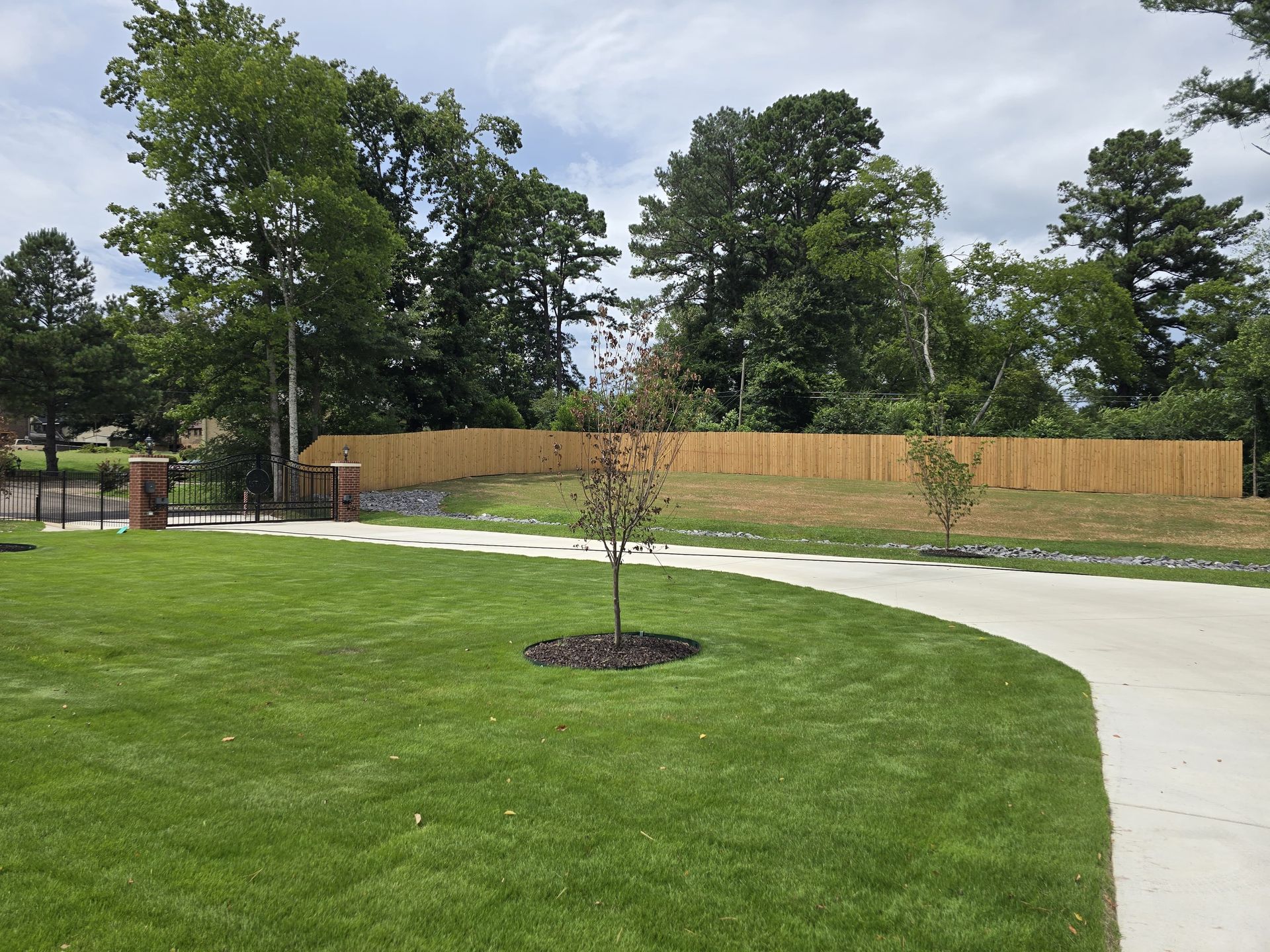 Lush green lawn with concrete driveway, small tree, and wooden fence in a residential setting.