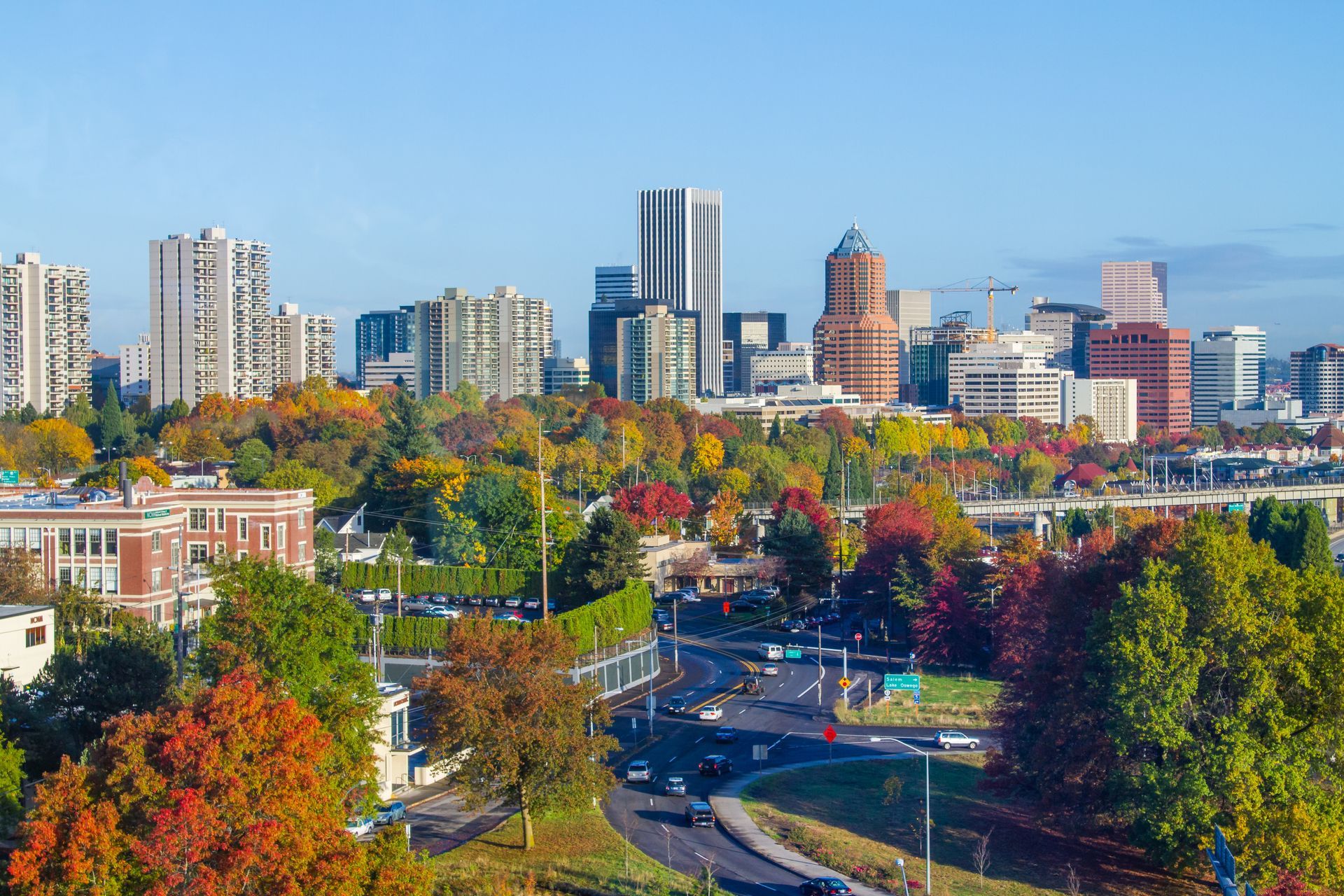 City skyline with modern high-rises above a tree-lined park and curving road under a clear blue sky