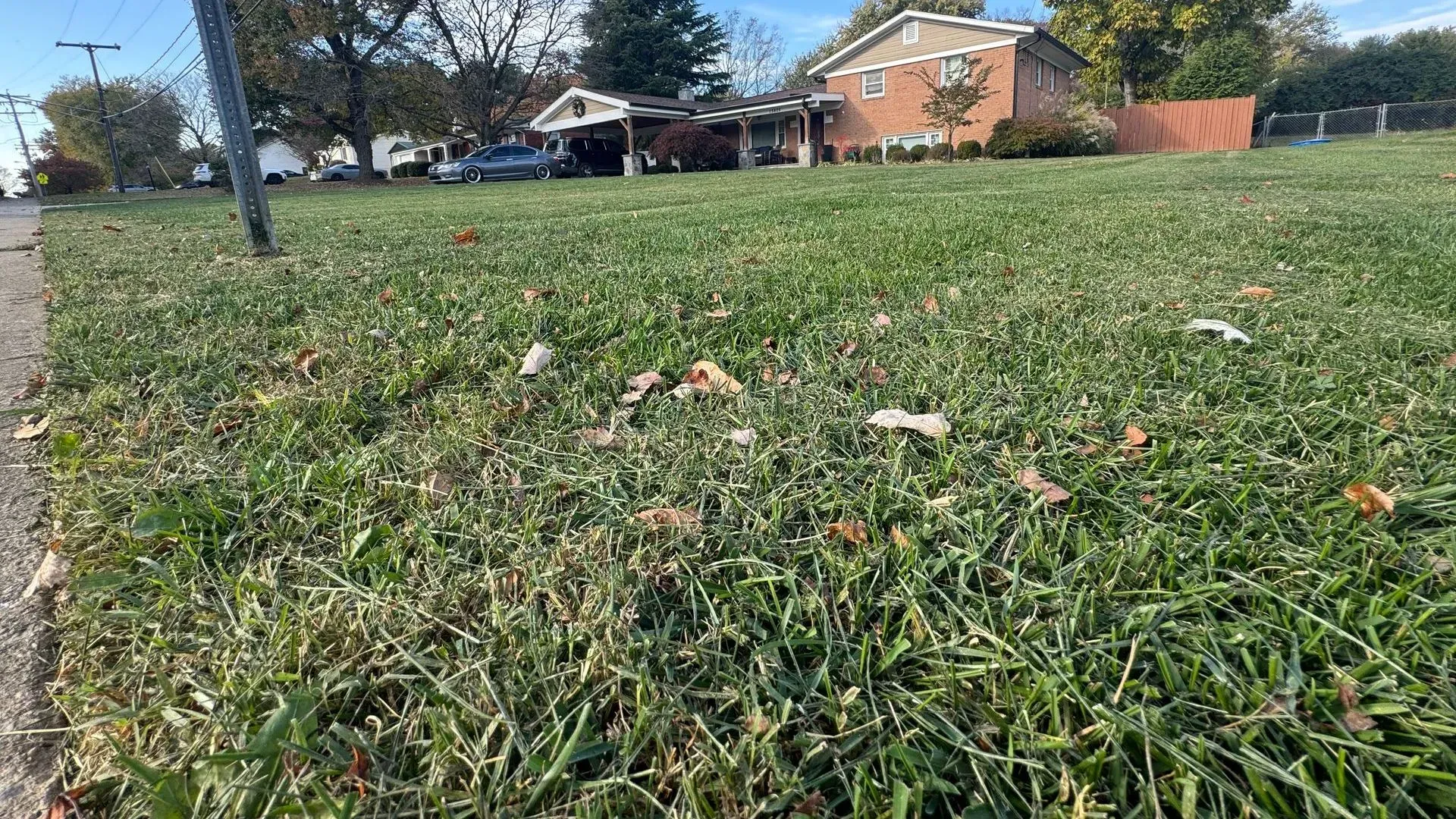 Grassy yard with scattered leaves and a brick house in the background under a blue sky Grassy yard with scattered leaves and a brick house in the background under a blue sky