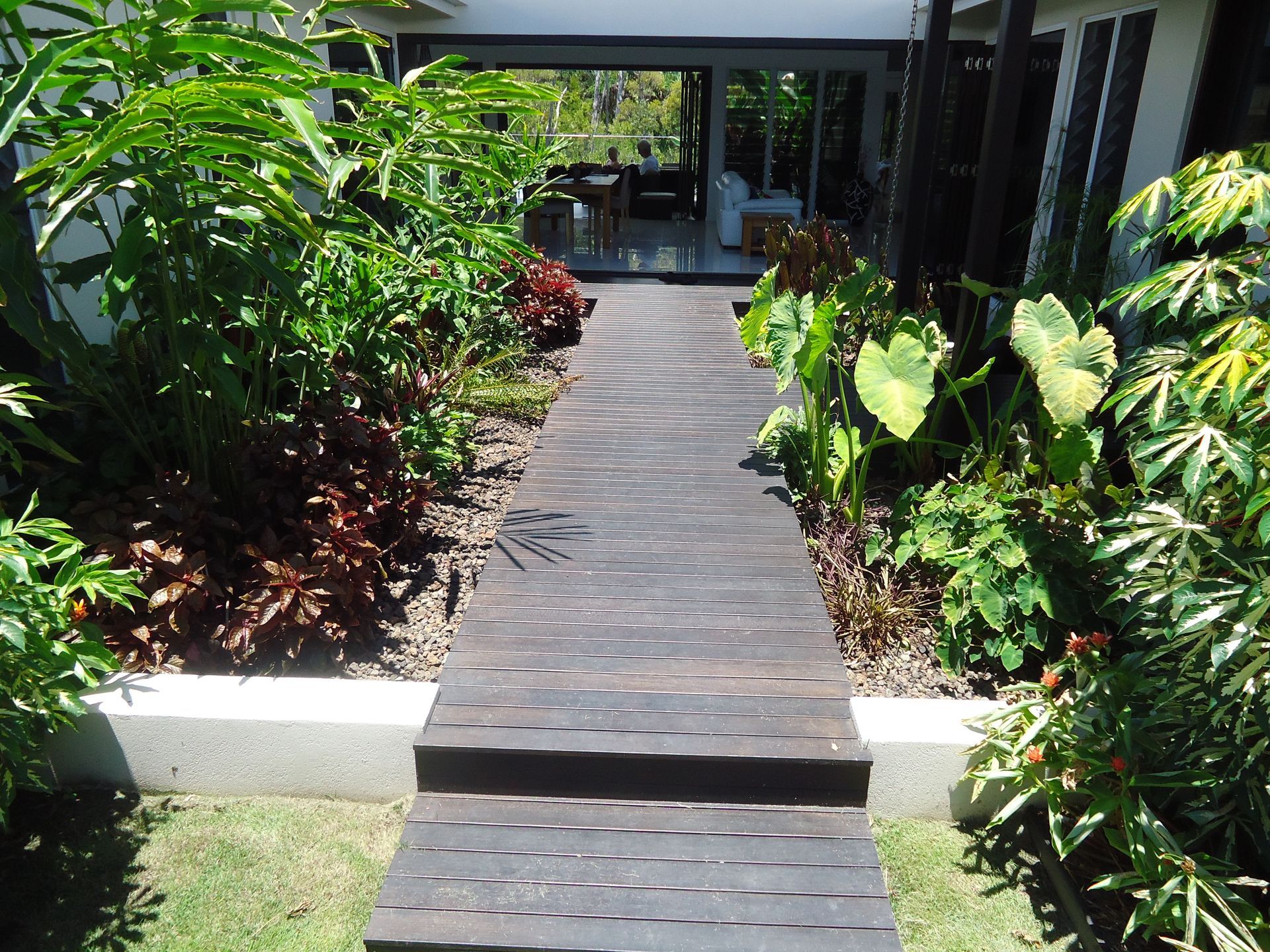 Wooden walkway leading through lush tropical plants to a modern building entrance