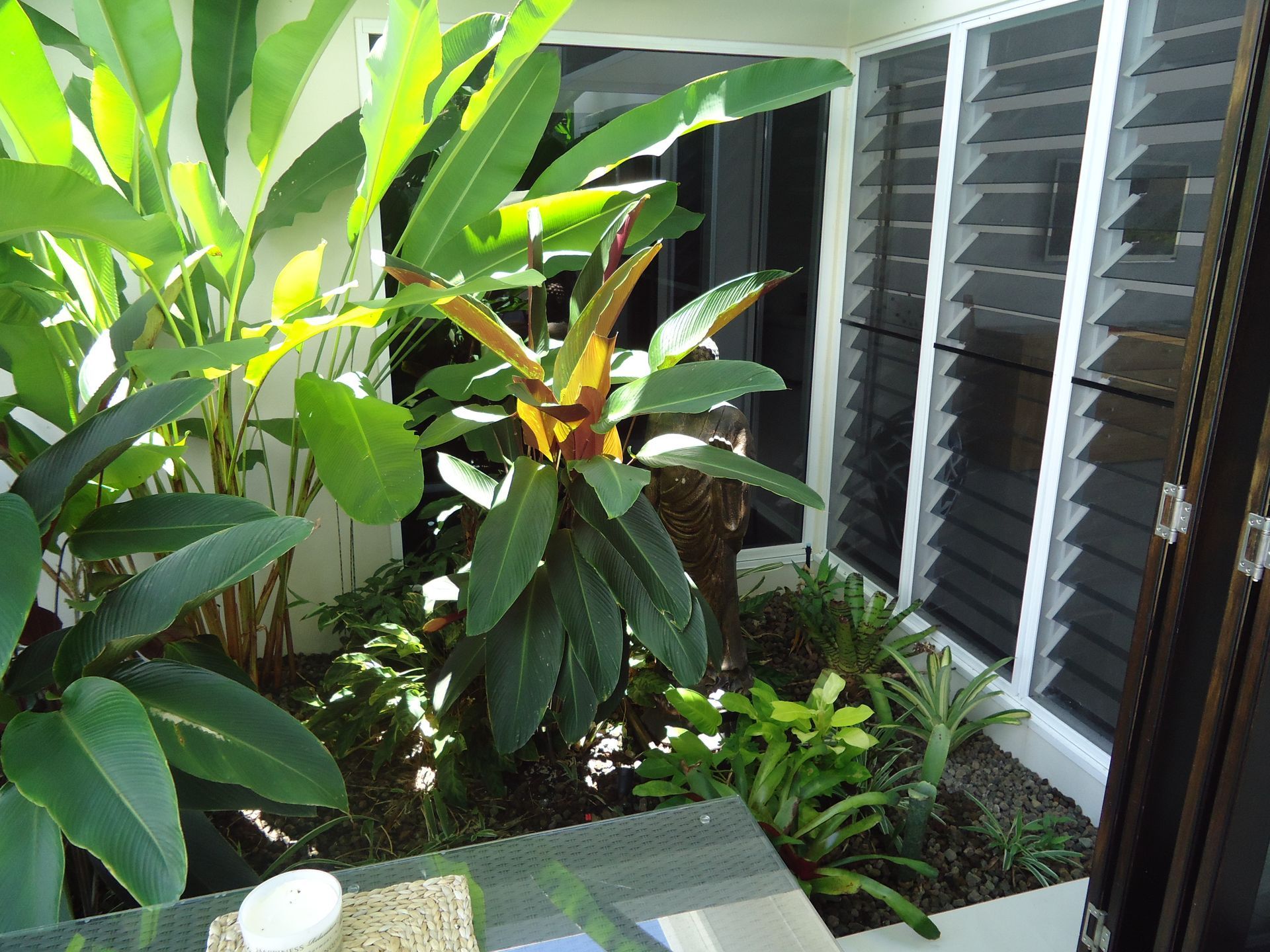 Lush tropical garden installed