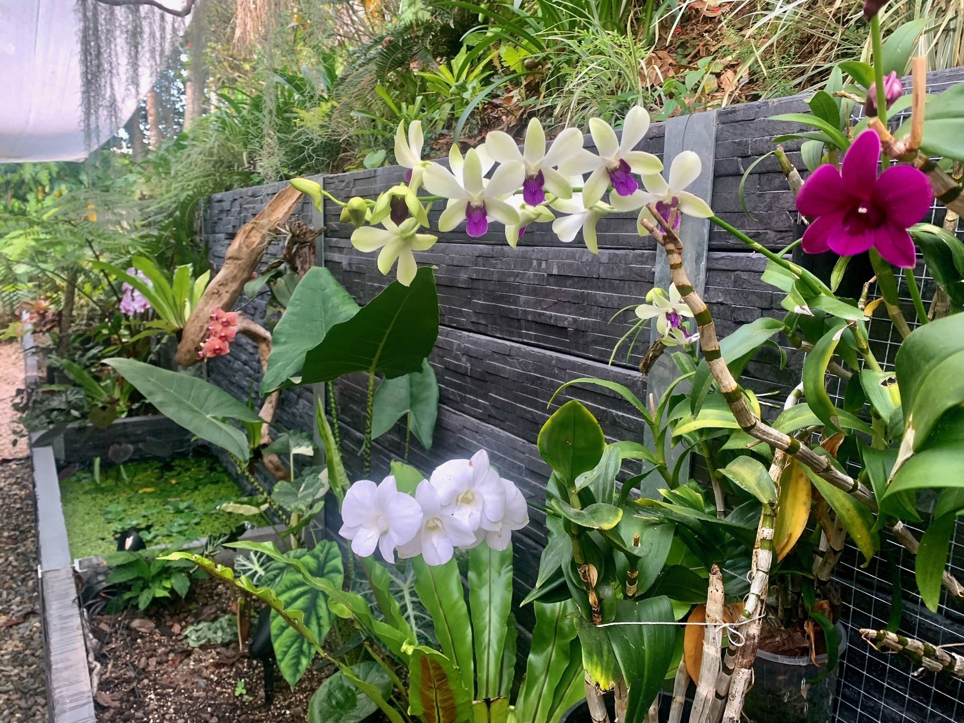 Concrete sleeper retaining wall system with water feature and Orchid garden installed