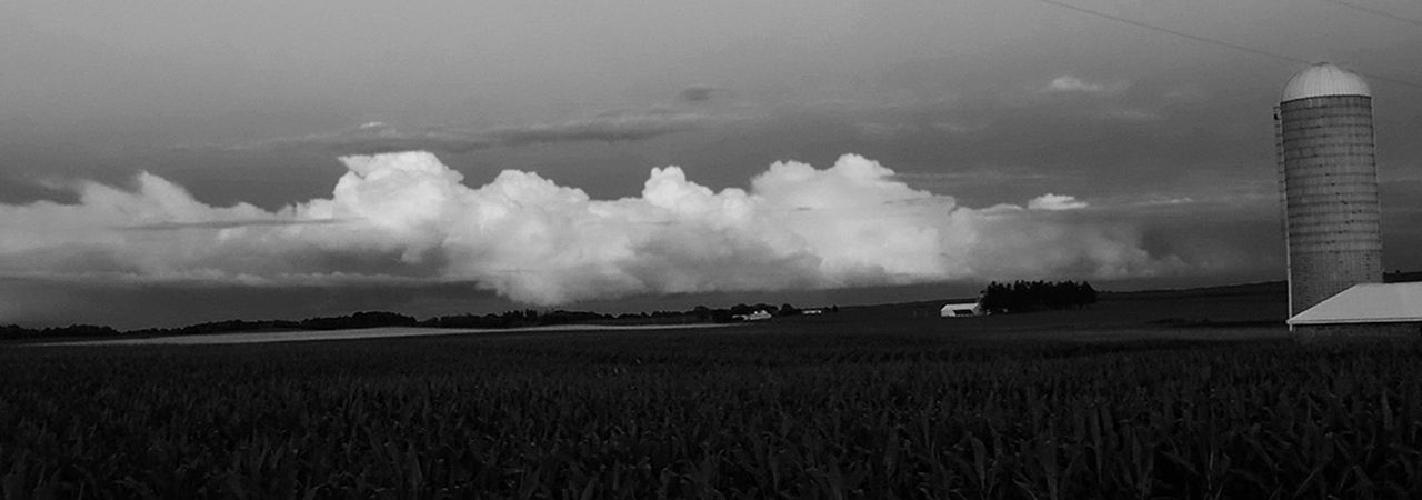 Farm silo and cornfields at dusk outside Rio, Wisconsin