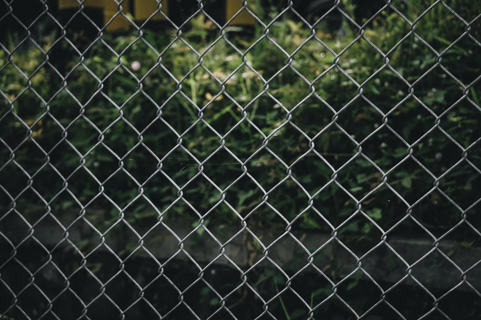 A close up of a chain link fence with a bush in the background.