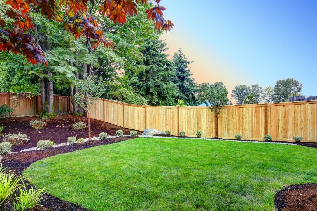 A backyard with a wooden fence and a lush green lawn.
