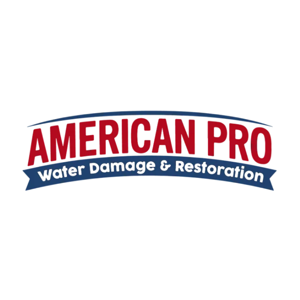 American Pro Water Damage & Restoration logo in red, white, and blue