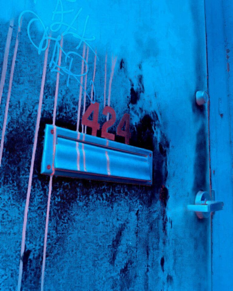 Door of Perception by Sara Carlson