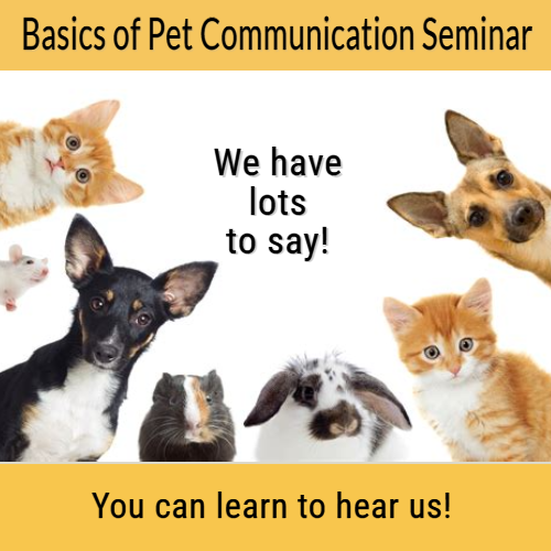Seminar ad featuring diverse pets; text: