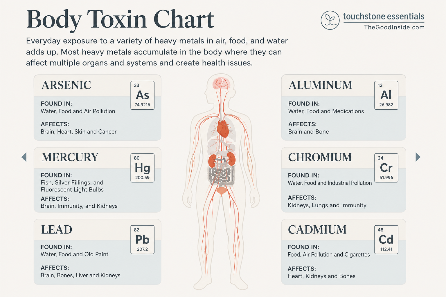Body Toxin Chart showing arsenic, mercury, lead, aluminum, chromium, and cadmium with a human body diagram