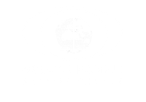 A white background with a few small dots on it.