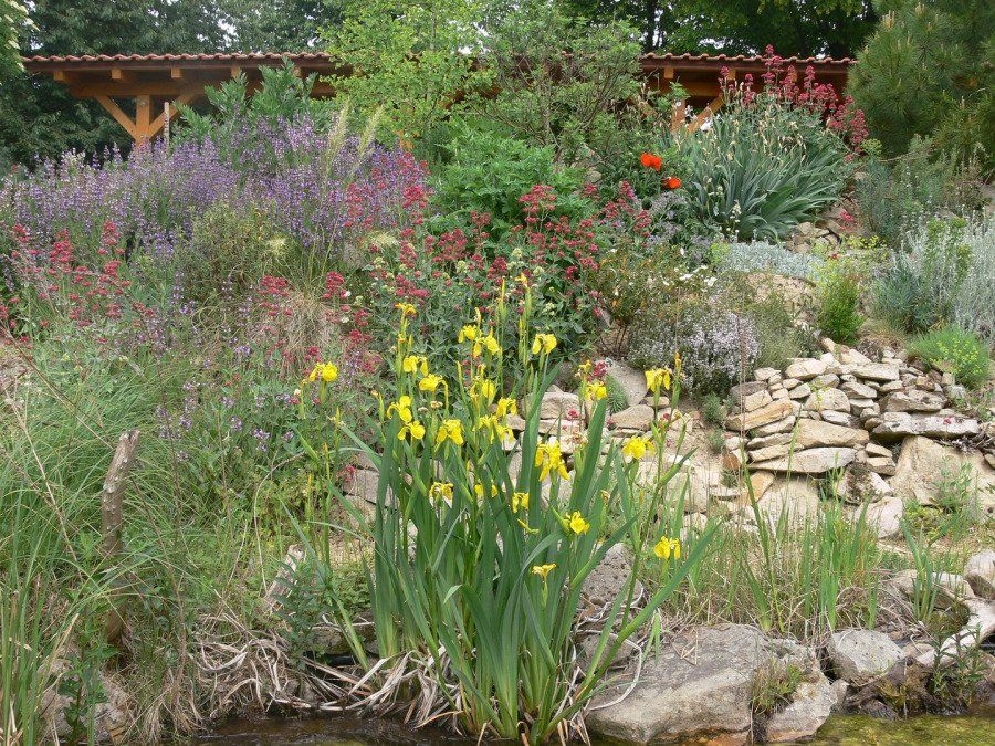 Ein Garten voller Blumen und Steine
