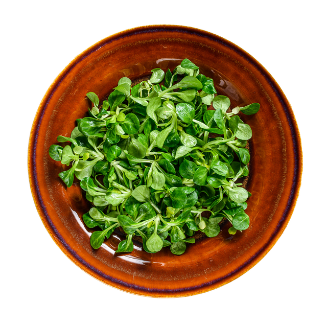 JPOT Japanese hot pot watercress vegetables on a brown ceramic plate bird's eye view