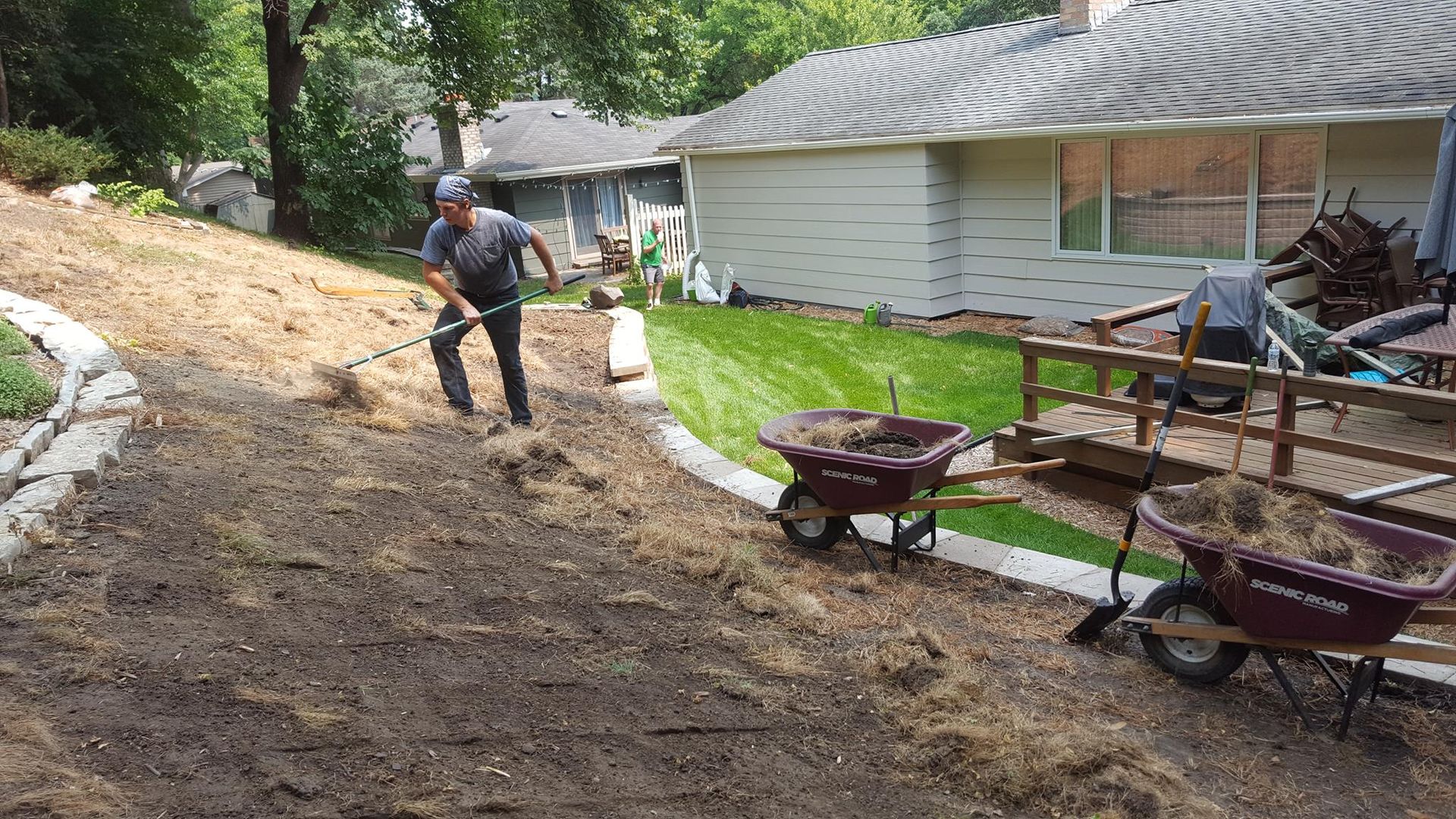 A person uses a rake on a sloped dirt yard next to two wheelbarrows and a house with a deck.