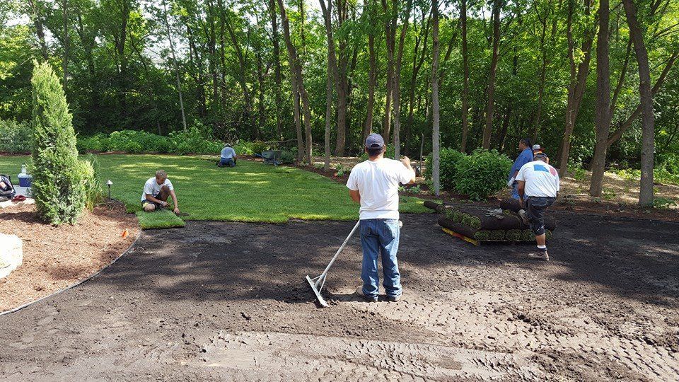 Workers lay sod on dark, prepared soil in a wooded residential backyard.