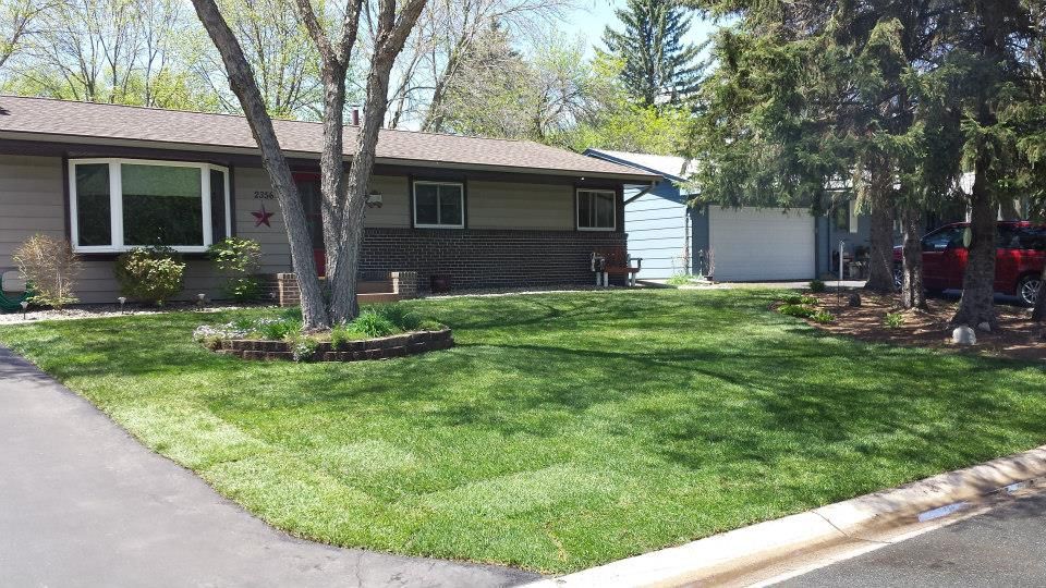 A suburban home with a tan exterior, dark siding trim, a manicured green lawn, and a large tree in the front yard.