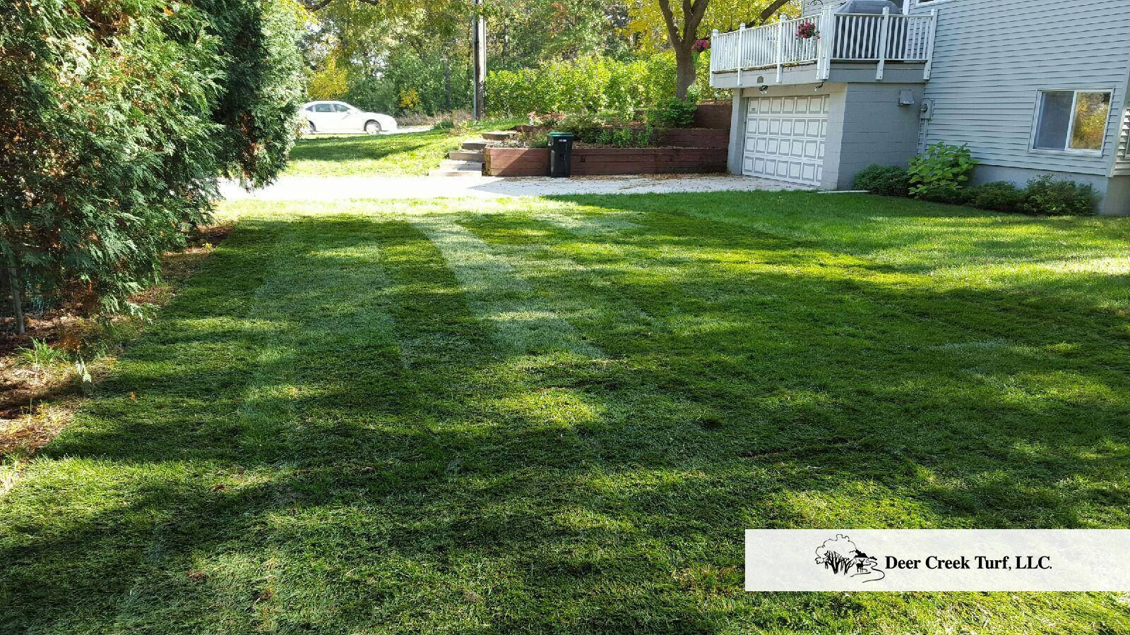 A freshly mowed green lawn in a suburban backyard with a house and a white car in the background.