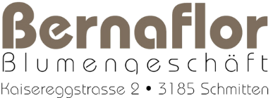 logo bernafloor footer