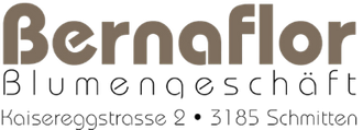 logo bernafloor footer