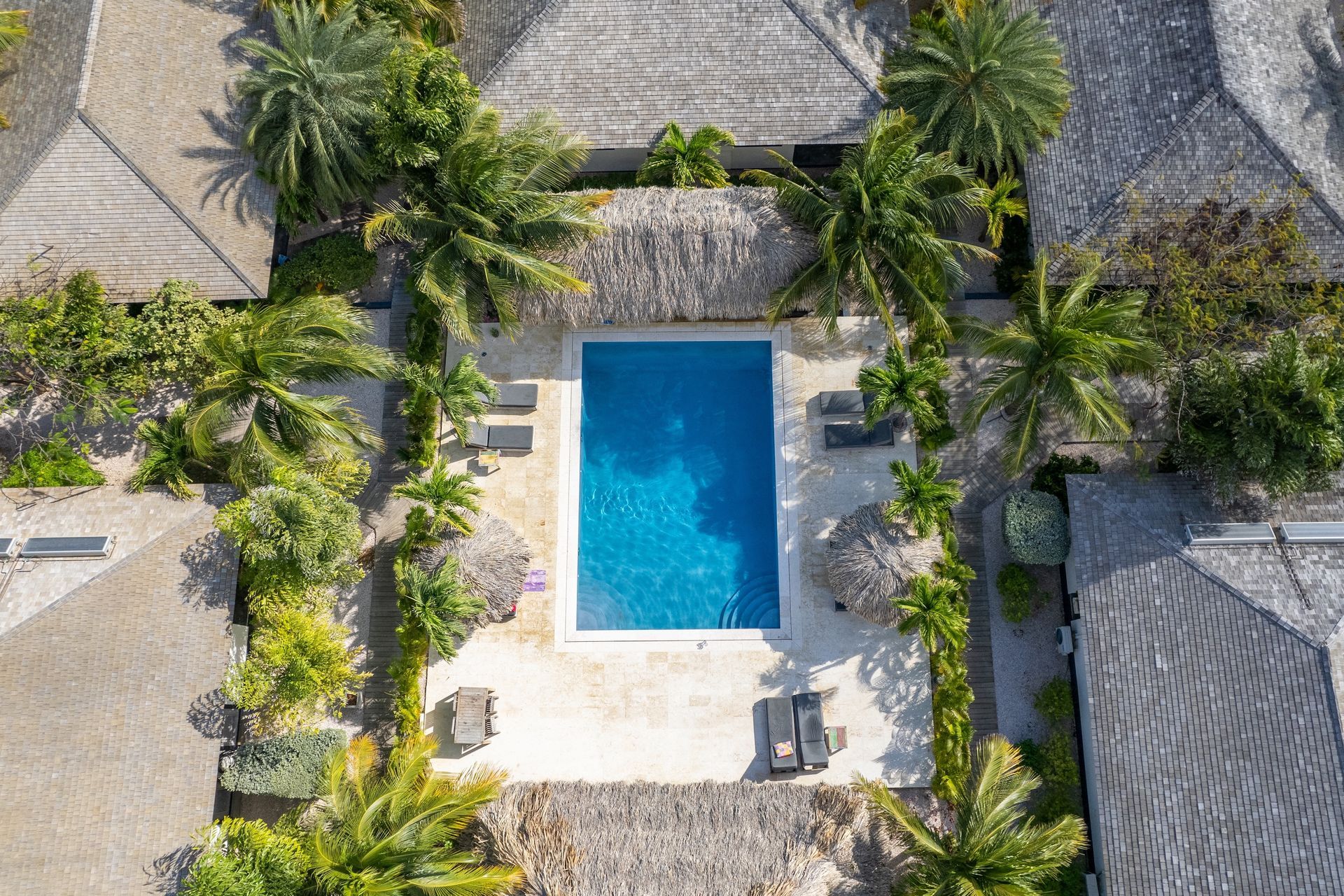 An aerial view of a swimming pool surrounded by palm trees and houses.