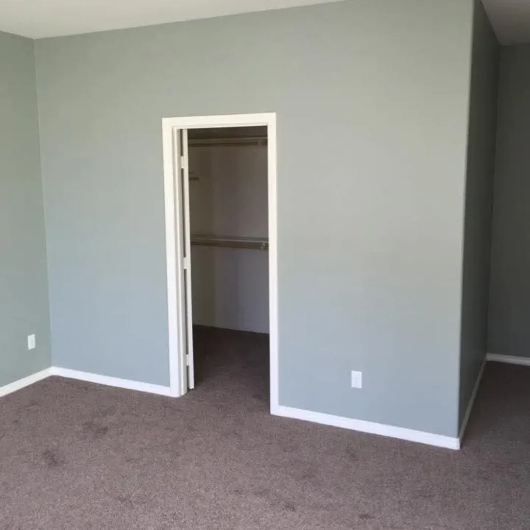 Empty room with gray walls, beige carpet, and an open closet door.