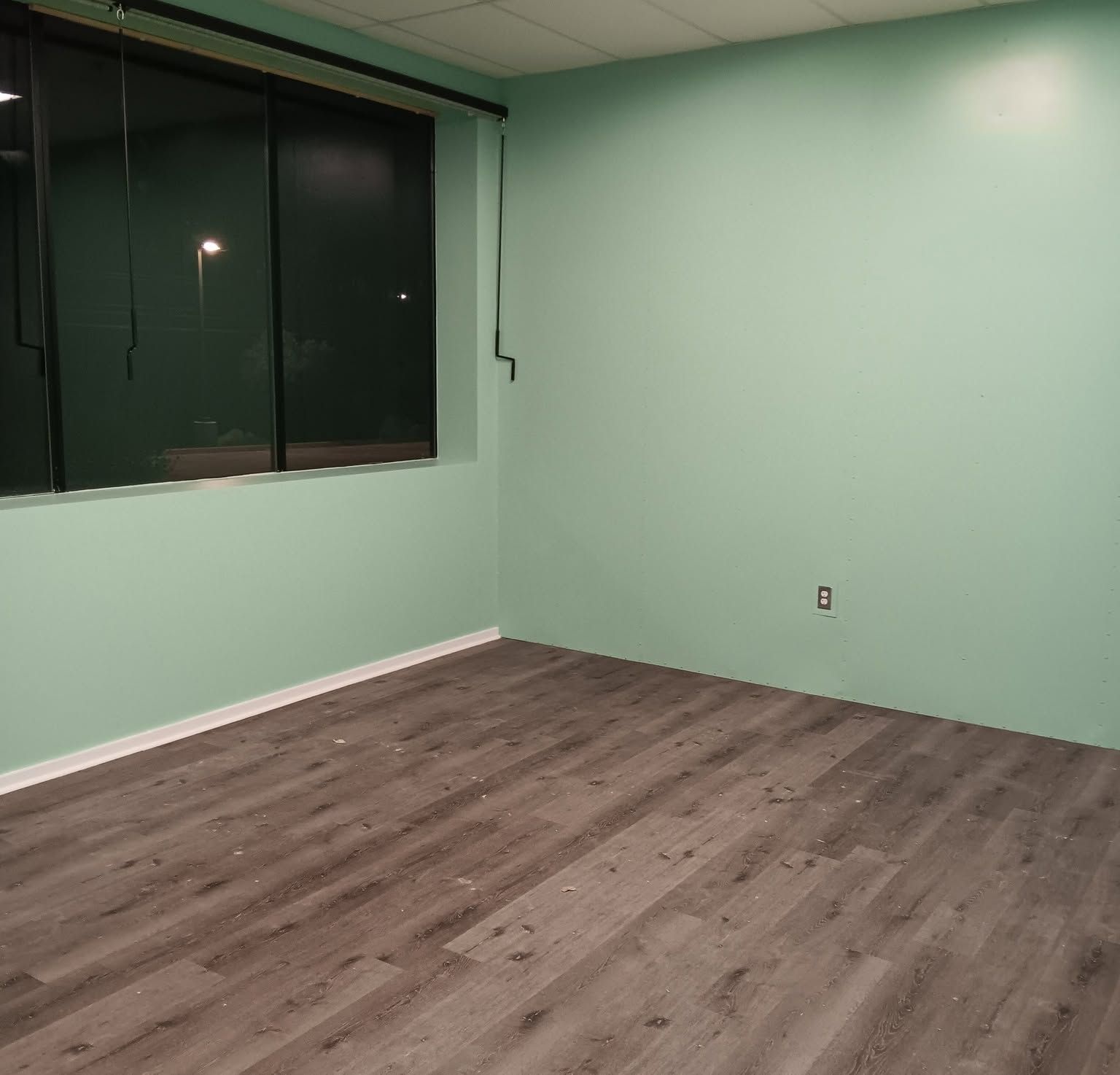 Empty mint-green room with wood-look flooring and a large window