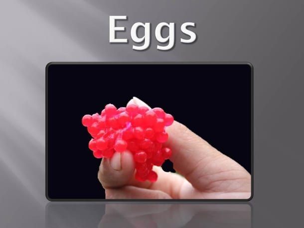 fish eggs for fishing salmon Idaho
