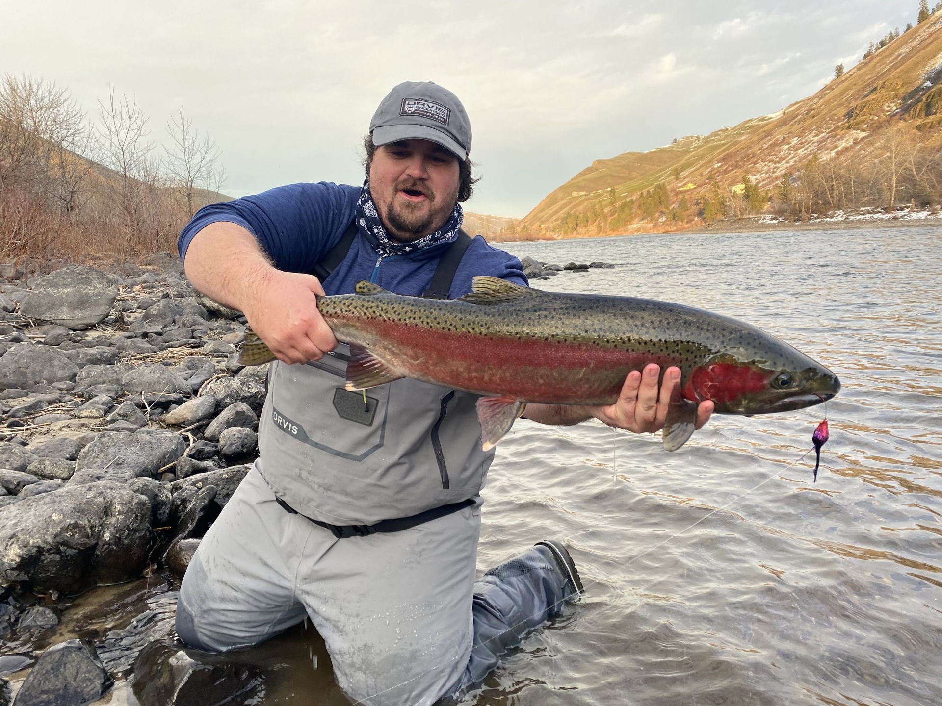 Clearwater River Steelhead Salmon