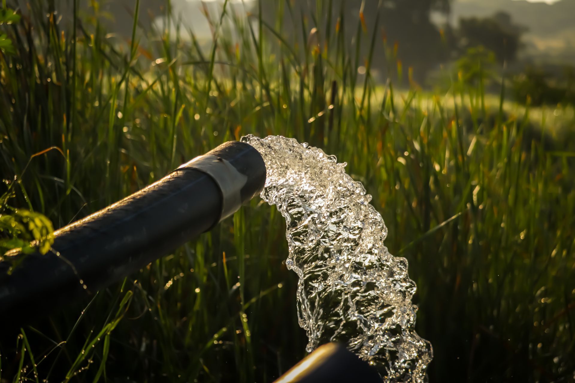 Water being pumped out of a plastic pipe into the ground.