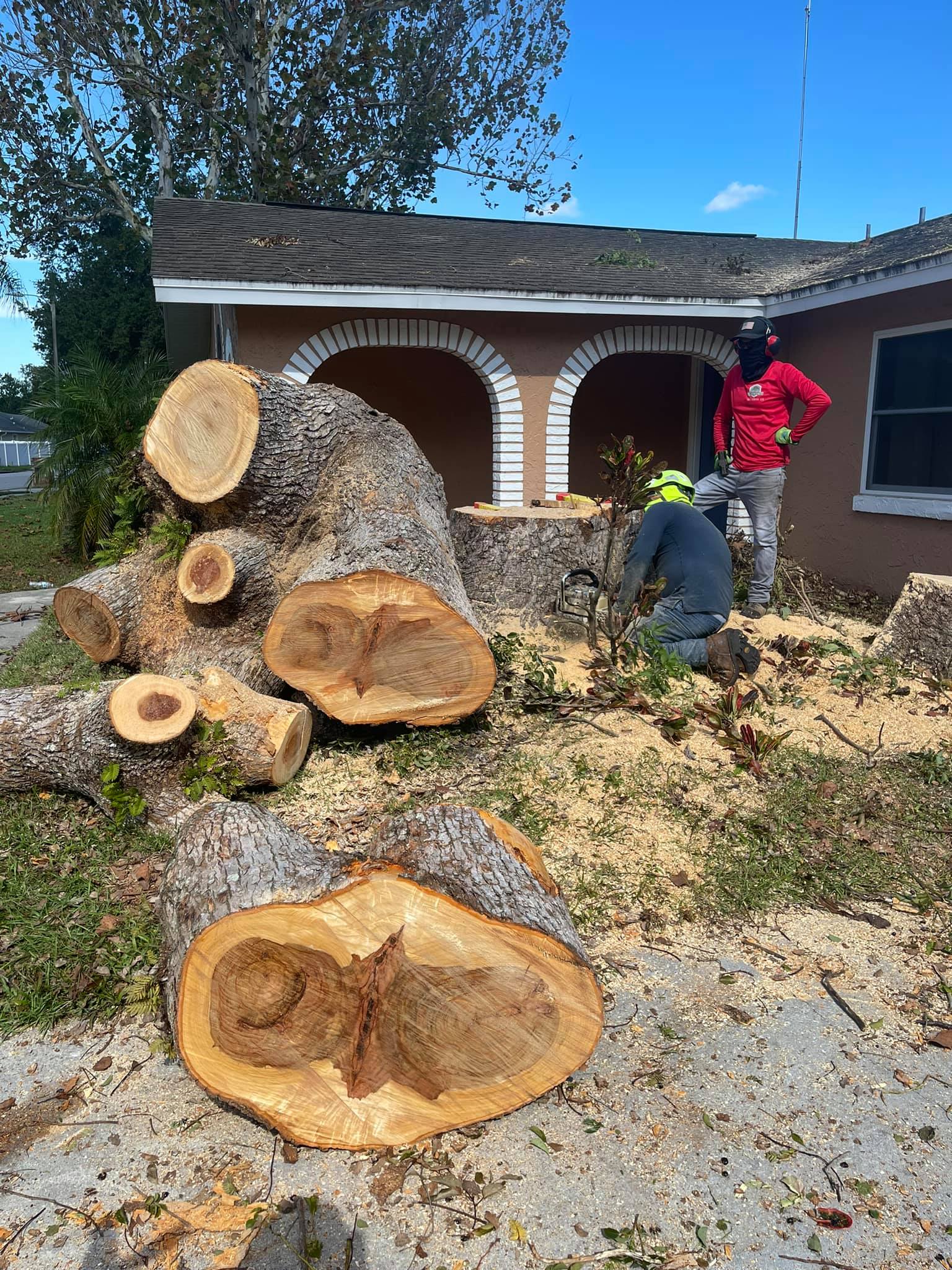Tree Services Orlando, FL K&E Tree Service