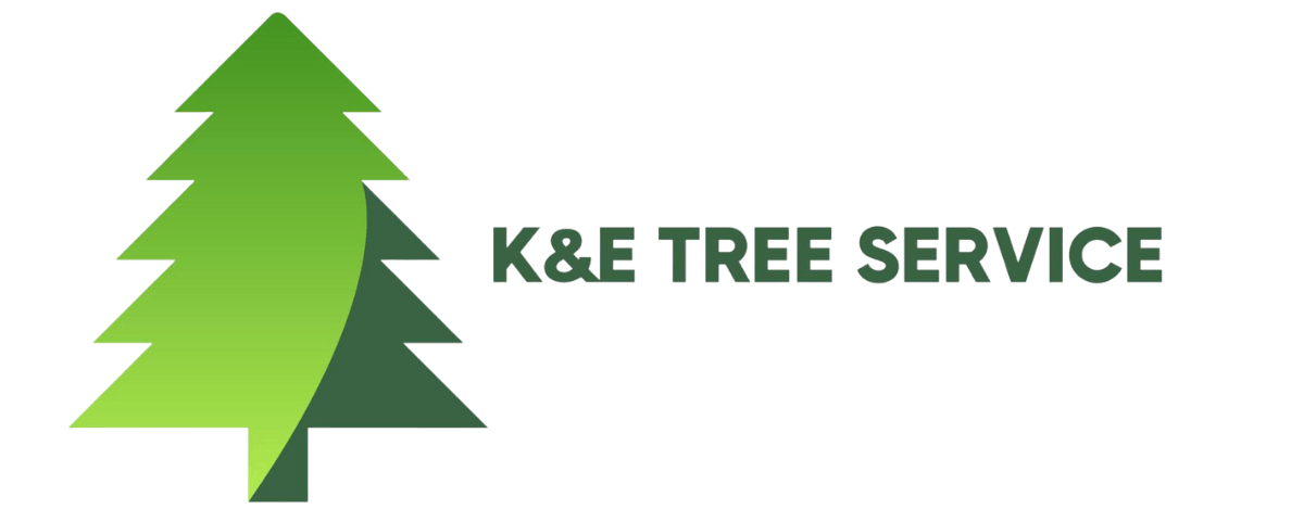 Tree service company logo | Orlando, FL | K&E Tree Service