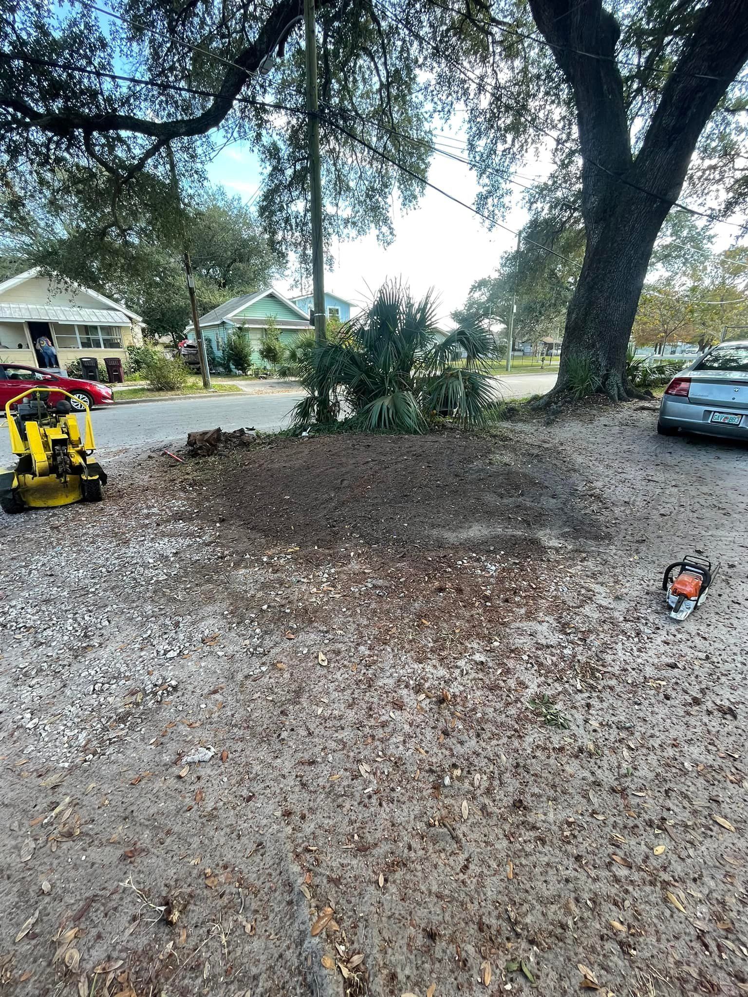 Dirt patch surrounded by shells and leaves, with a small tree, near a street and houses.